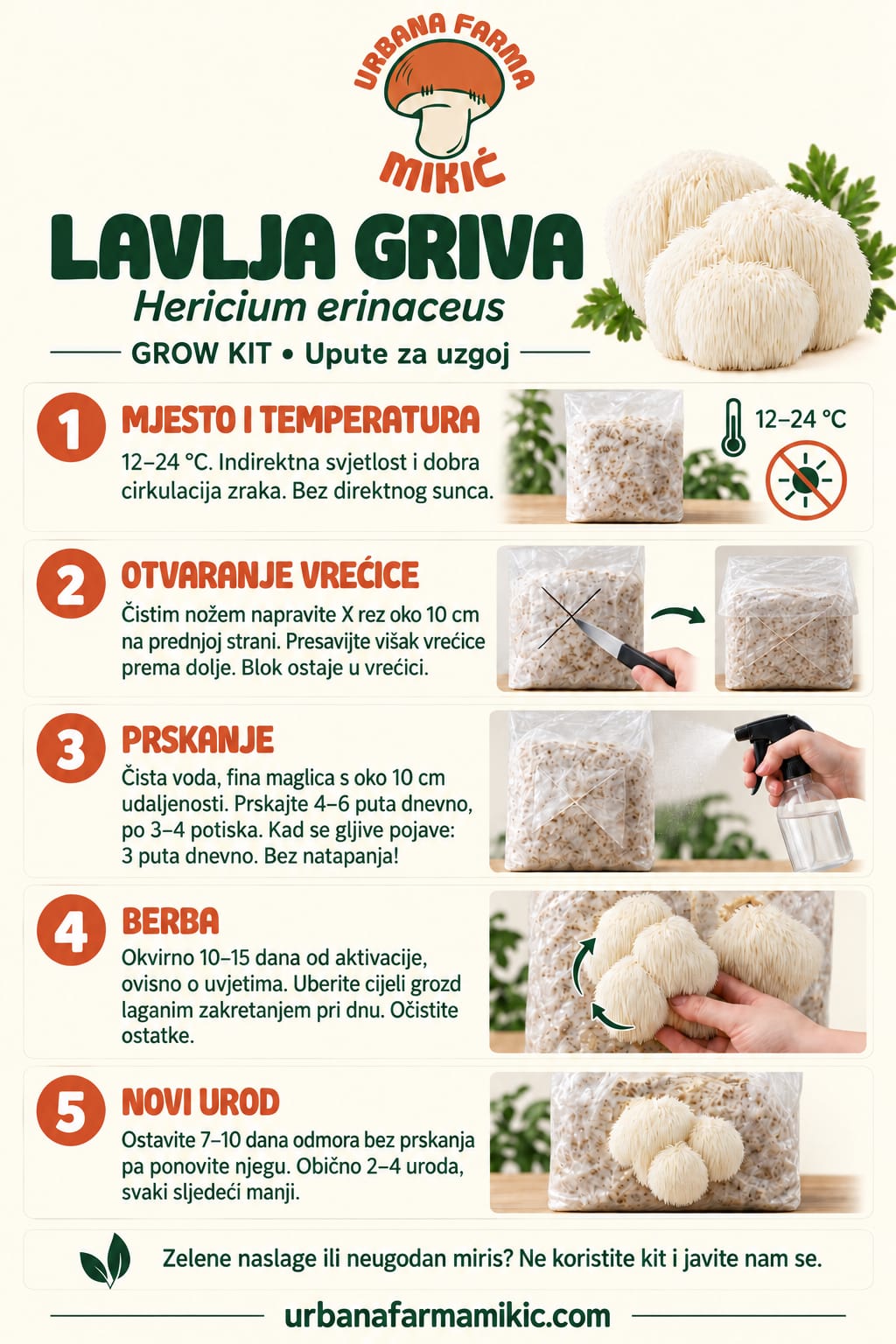 Grow Kit – Lavlja griva 4,5kg – fotografija 2