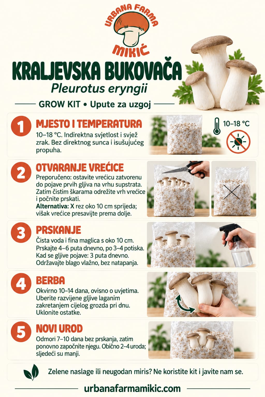 Grow Kit – Kraljevska Bukovača 4.5kg – fotografija 2