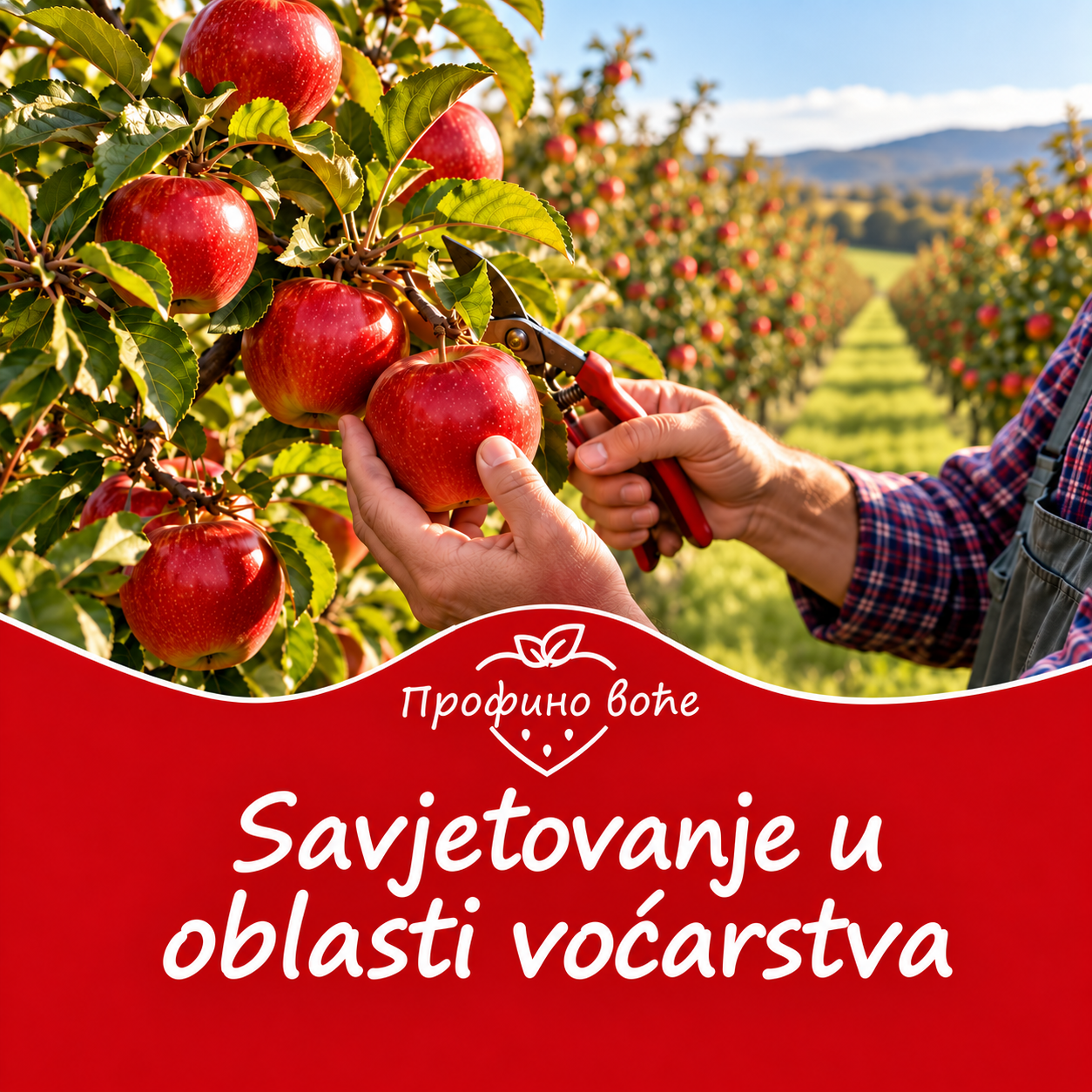Savjetovanje u voćarstvu