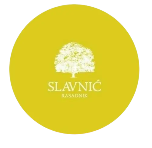 Logo Rasadnik Slavnic